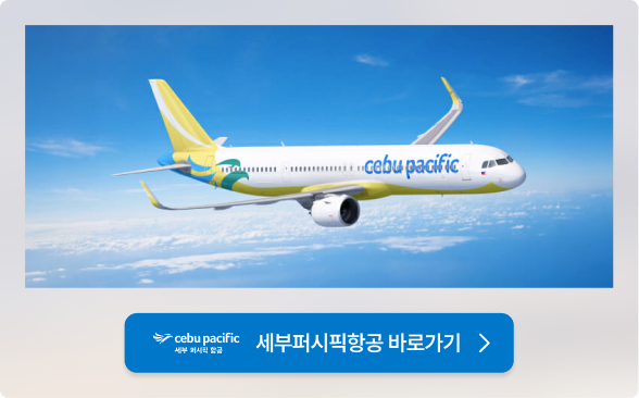 Cebu Pacific Logo